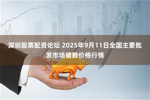 深圳股票配资论坛 2025年9月11日全国主要批发市场猪肺价格行情